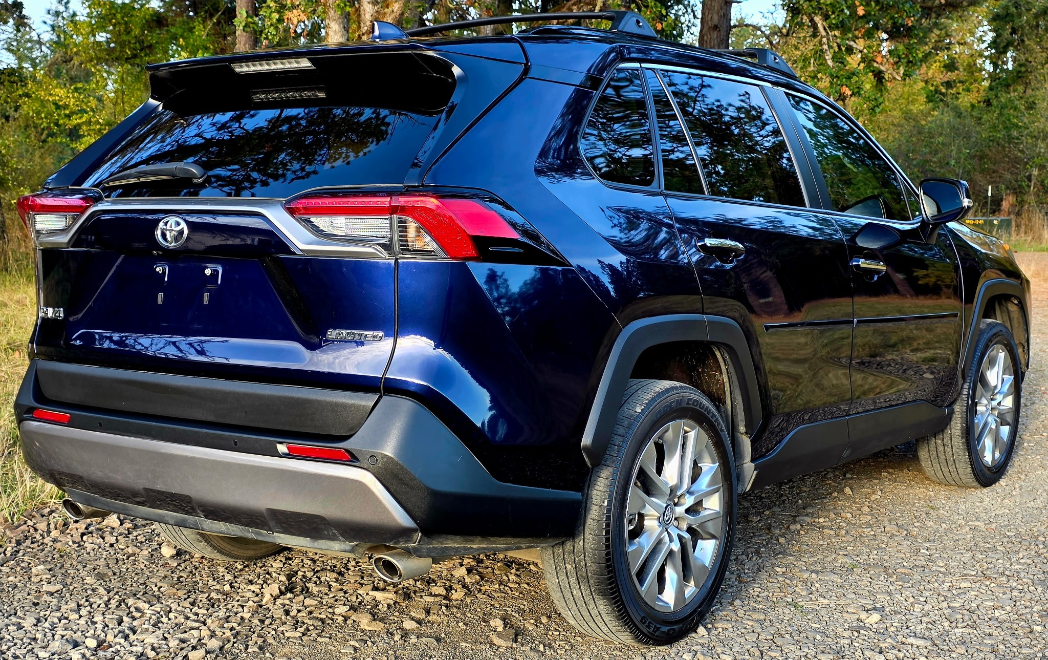 2019 Toyota RAV4 Limited rear view