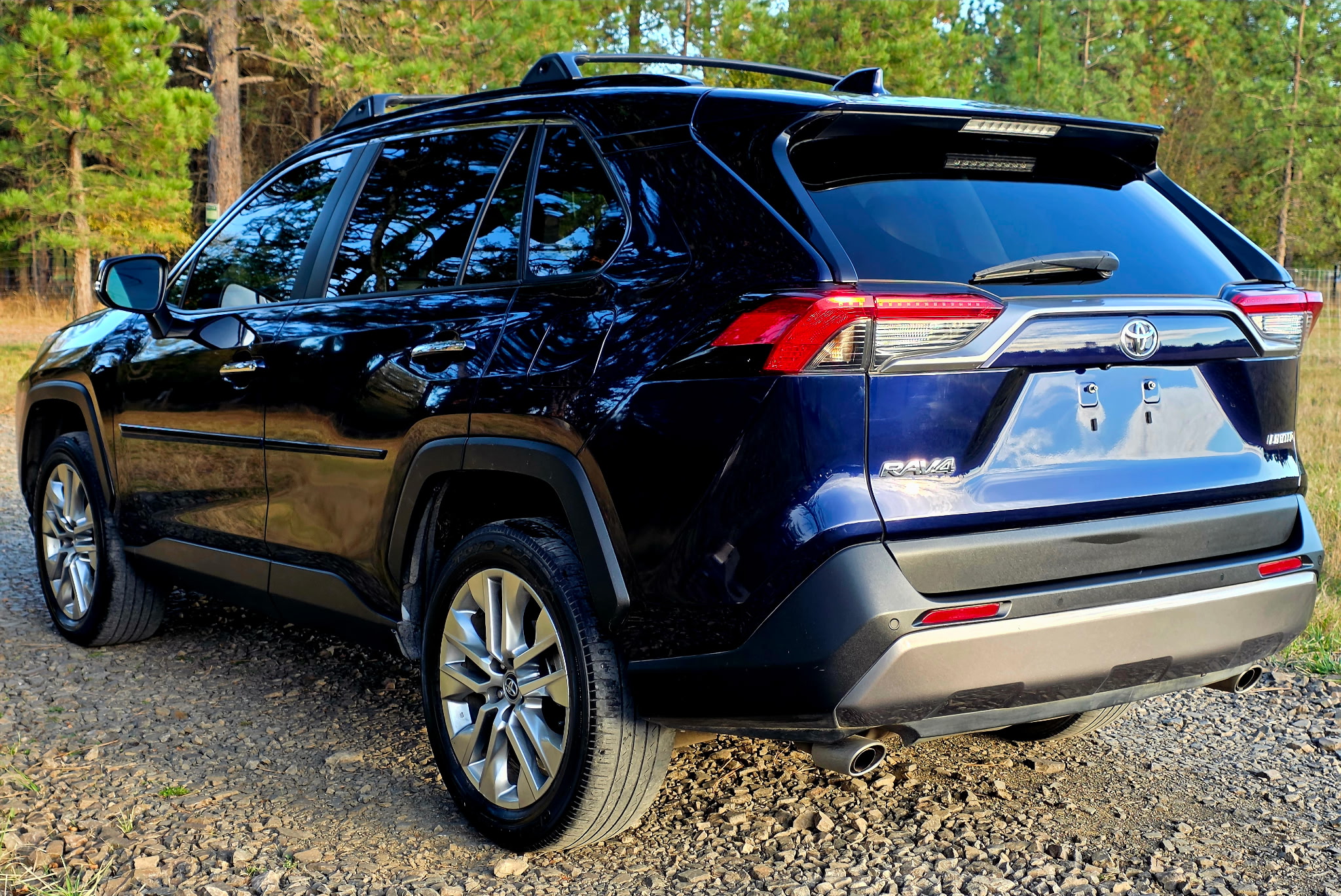 2019 Toyota RAV4 Limited rear side view