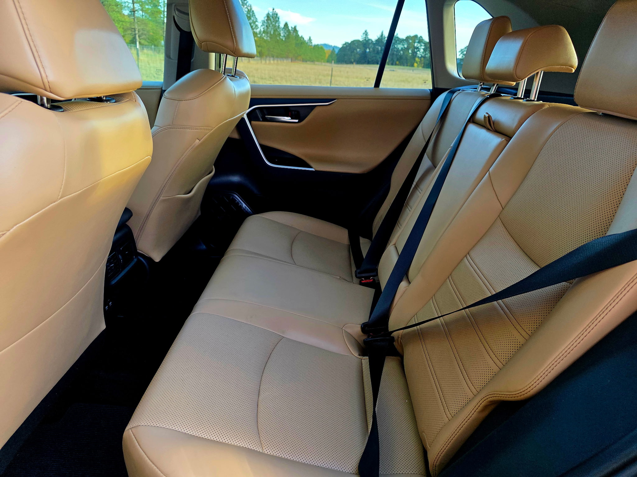 2019 Toyota RAV4 Limited rear seats