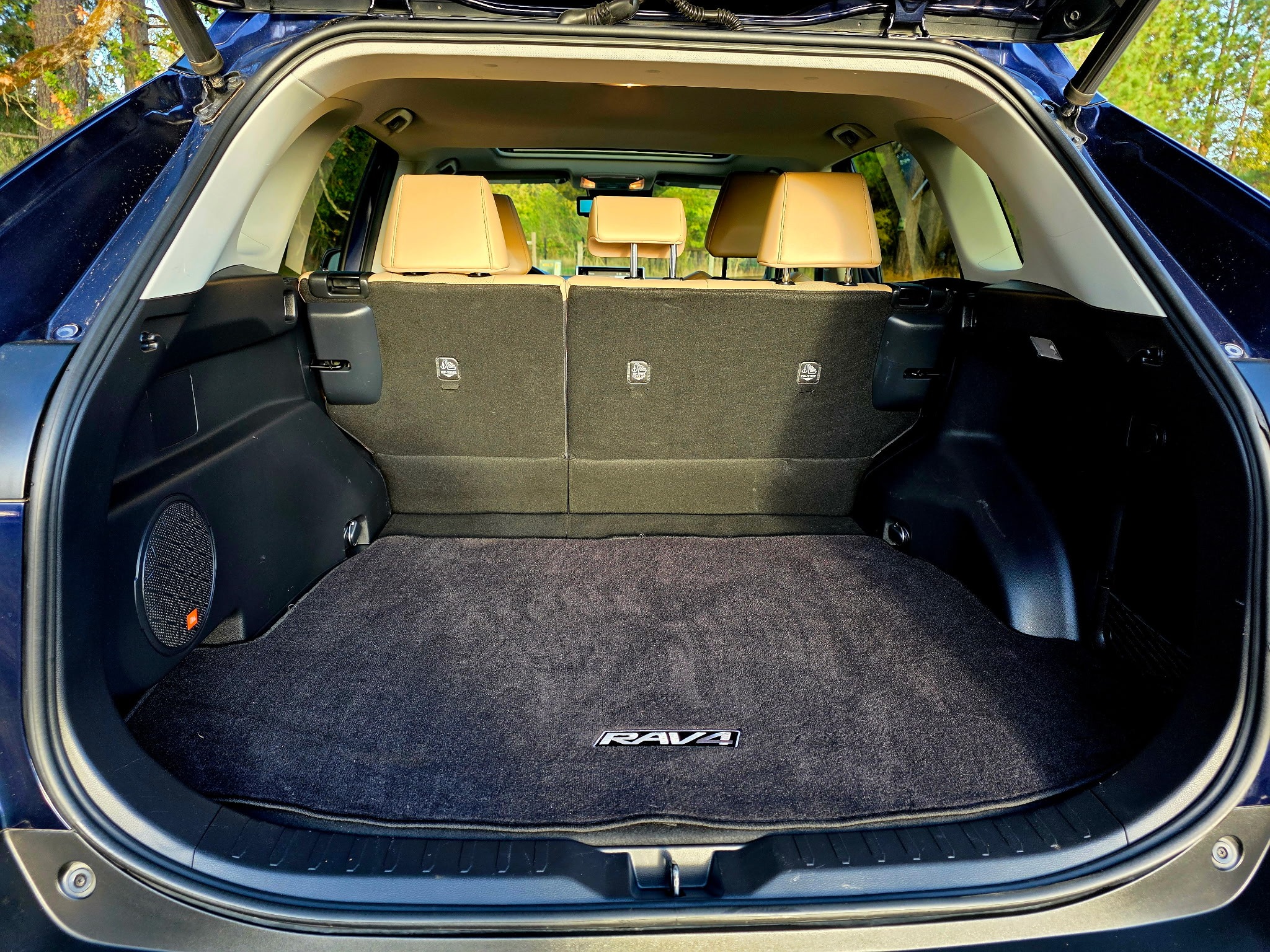 2019 Toyota RAV4 Limited cargo area
